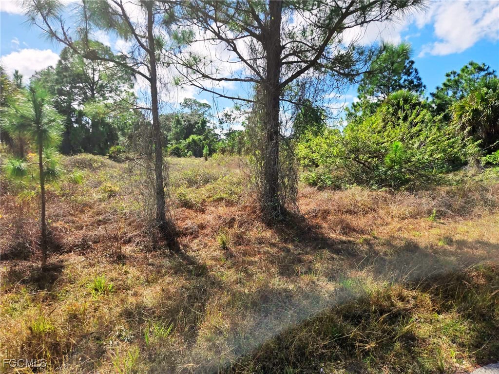 951  Chadwick Avenue