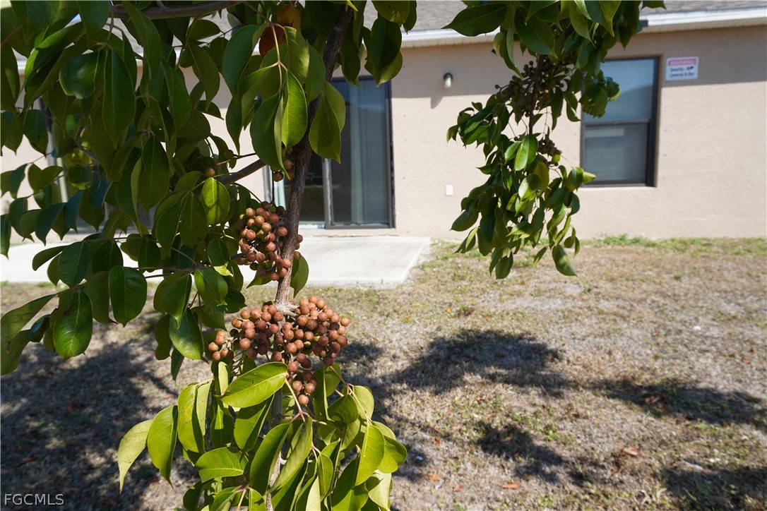 1314/1316  Country Club Boulevard