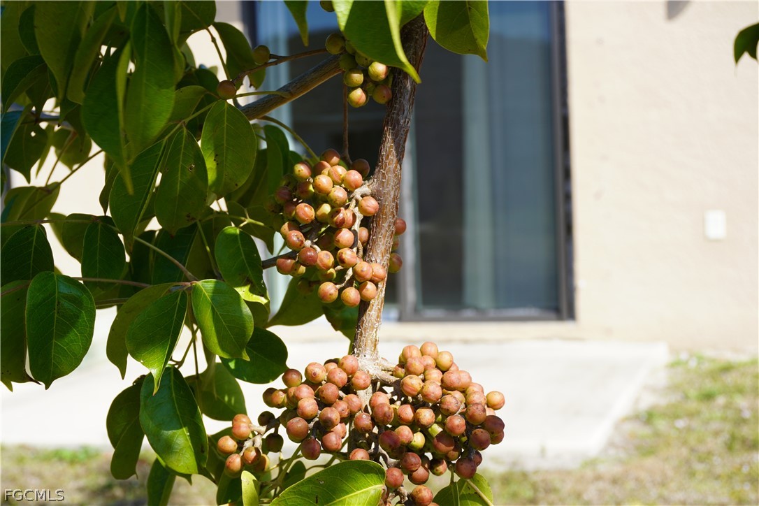 1314/1316  Country Club Boulevard