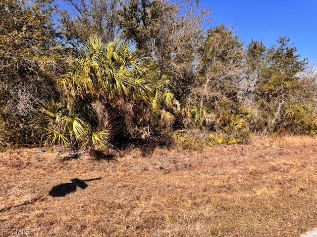 7258 Freeberg Circle