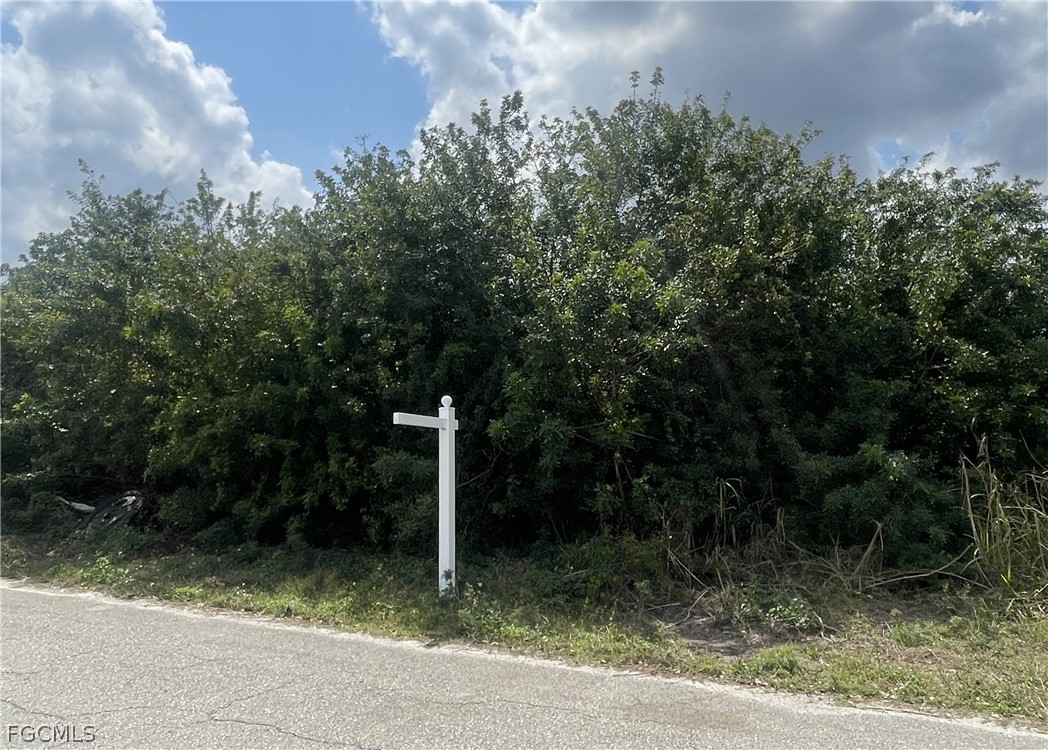 1017/1019  Albany Avenue