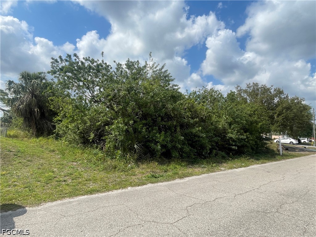 1017/1019  Albany Avenue