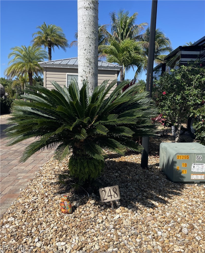 5230  Pineland Daisy Trail