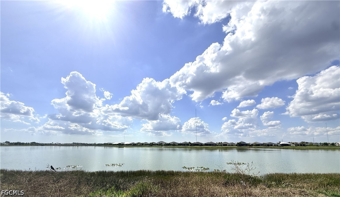 Real Estate in Southwest Florida