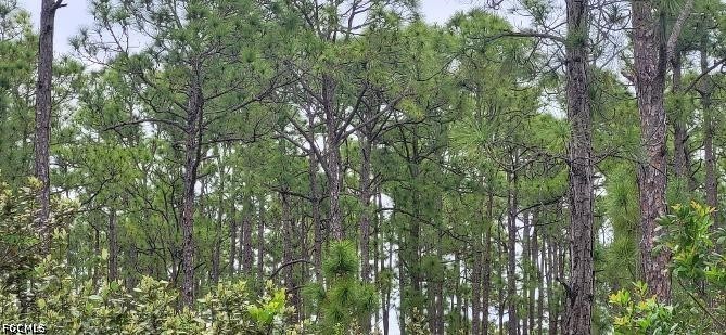 27274  GREEN GULF Boulevard