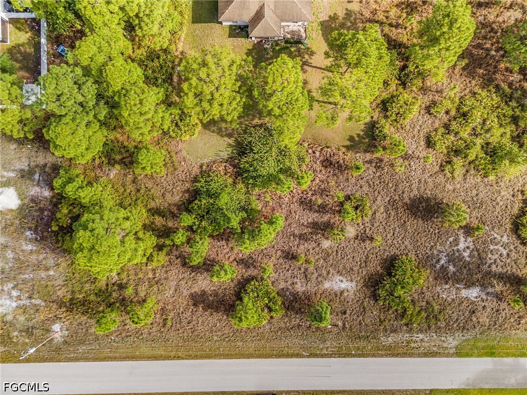 1113  Darling Street