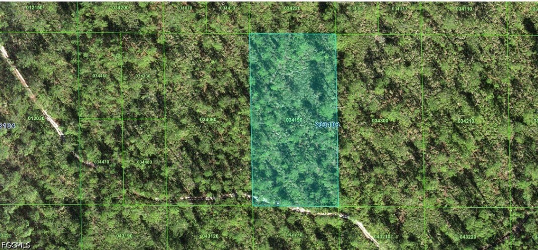 30-31-03-000000-0341  INAACCESIBLE TRACK