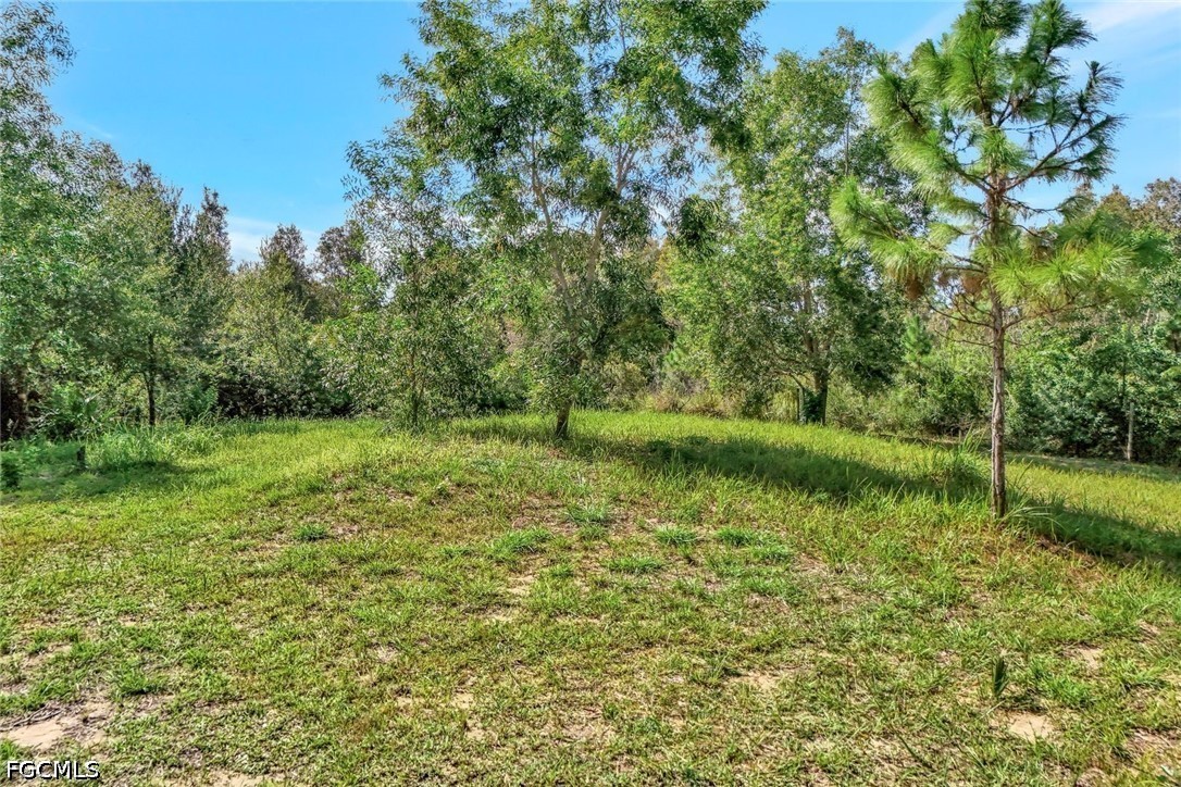 41601  Little Farm Road