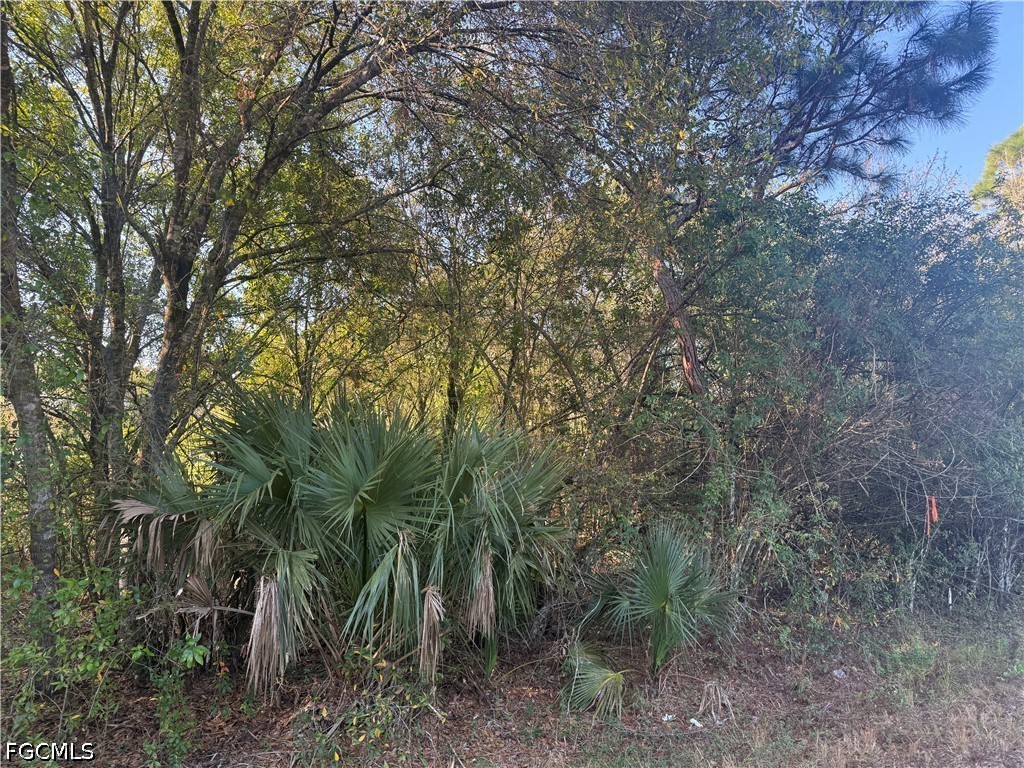 858  Woodland Boulevard