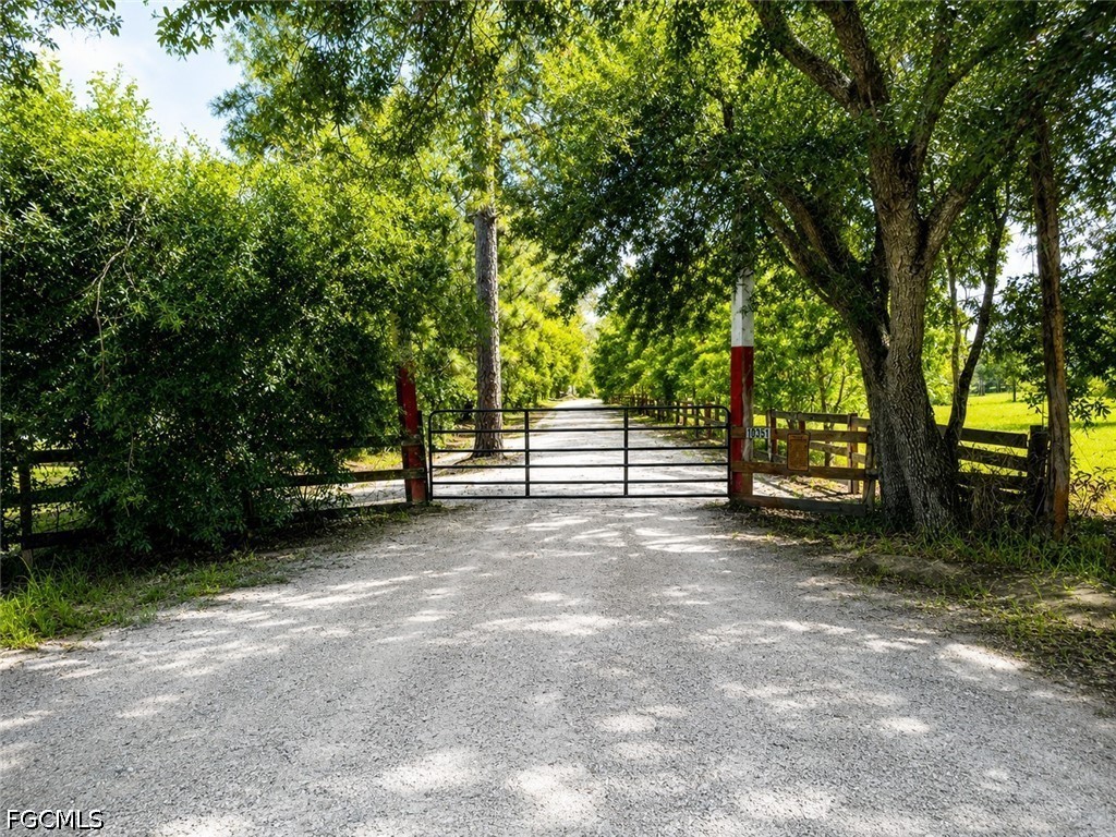Real Estate in Southwest Florida