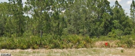 3011 W Dixon Road