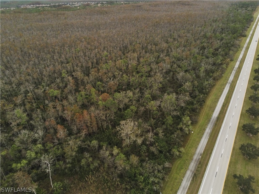 10581  Ben C Pratt/6 Mile Cypress Parkway