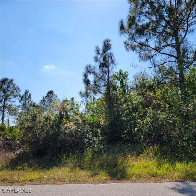501  Willowbrook Drive