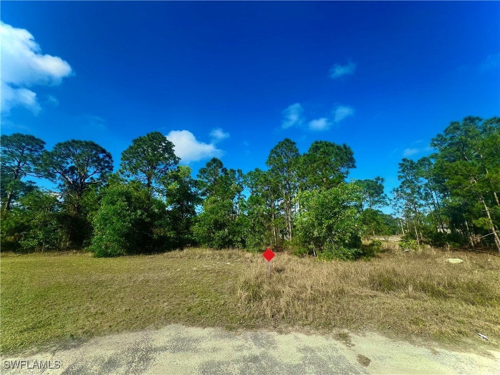 747  Delridge Court
