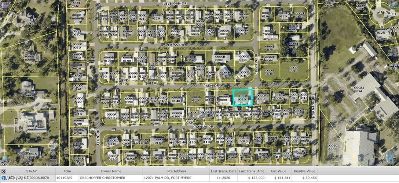 12071  Palm Drive