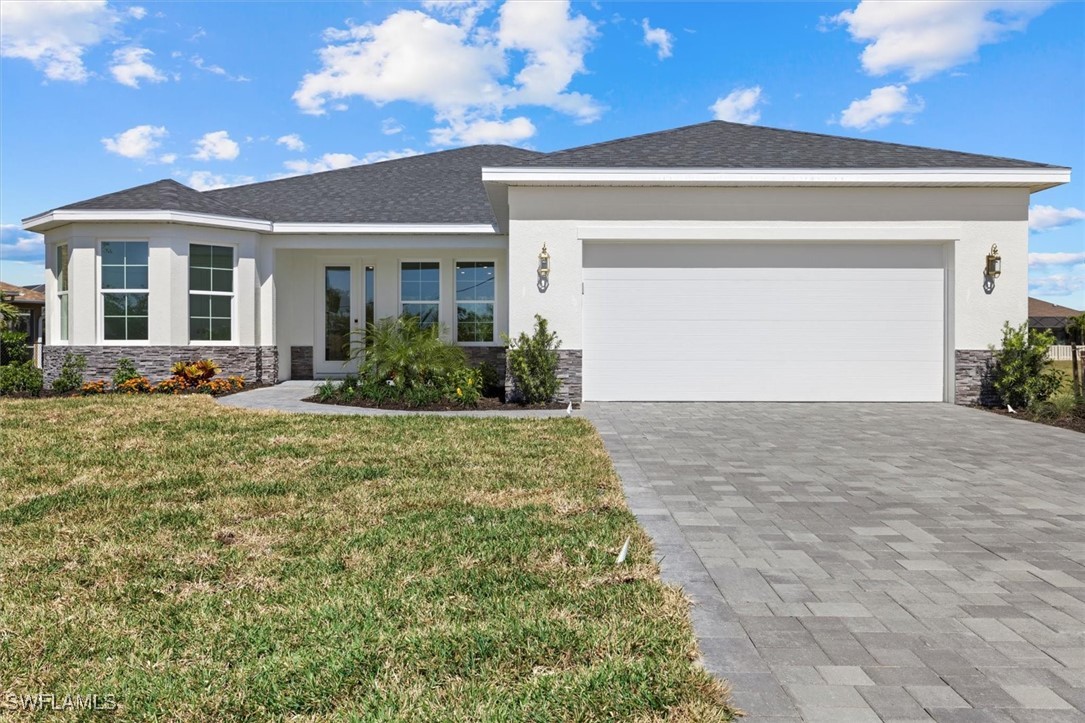7338 N Ficus Tree