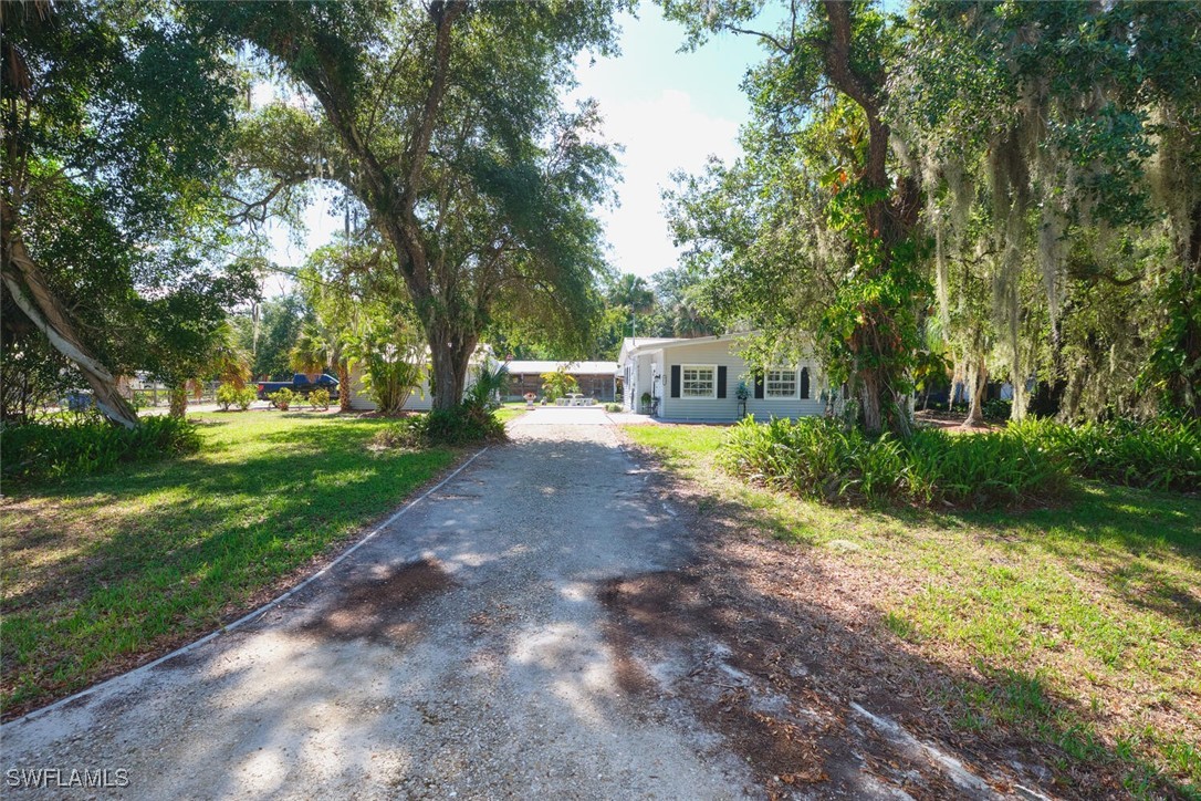 4131  Ellis Road