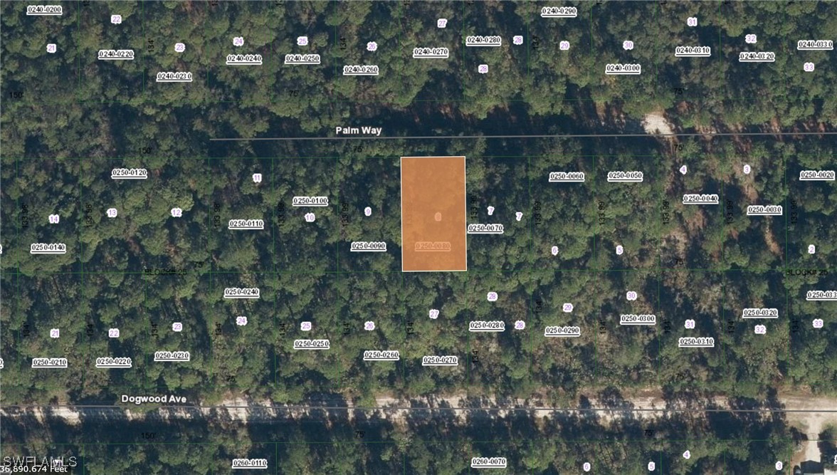 119  PALM Way