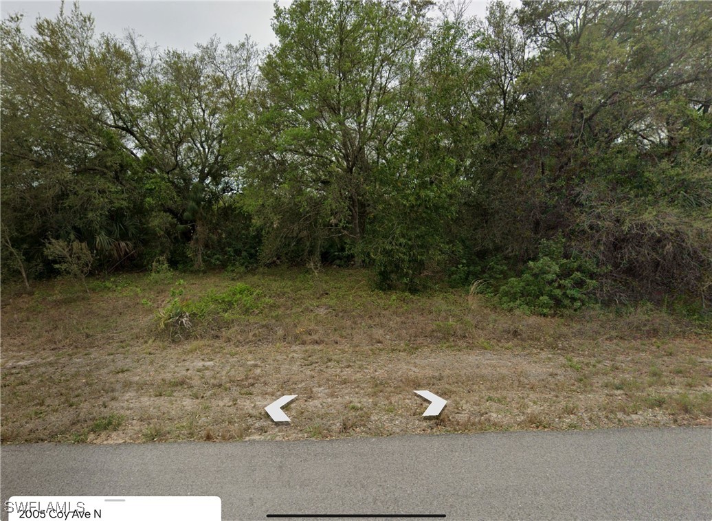 2005  Coy Avenue