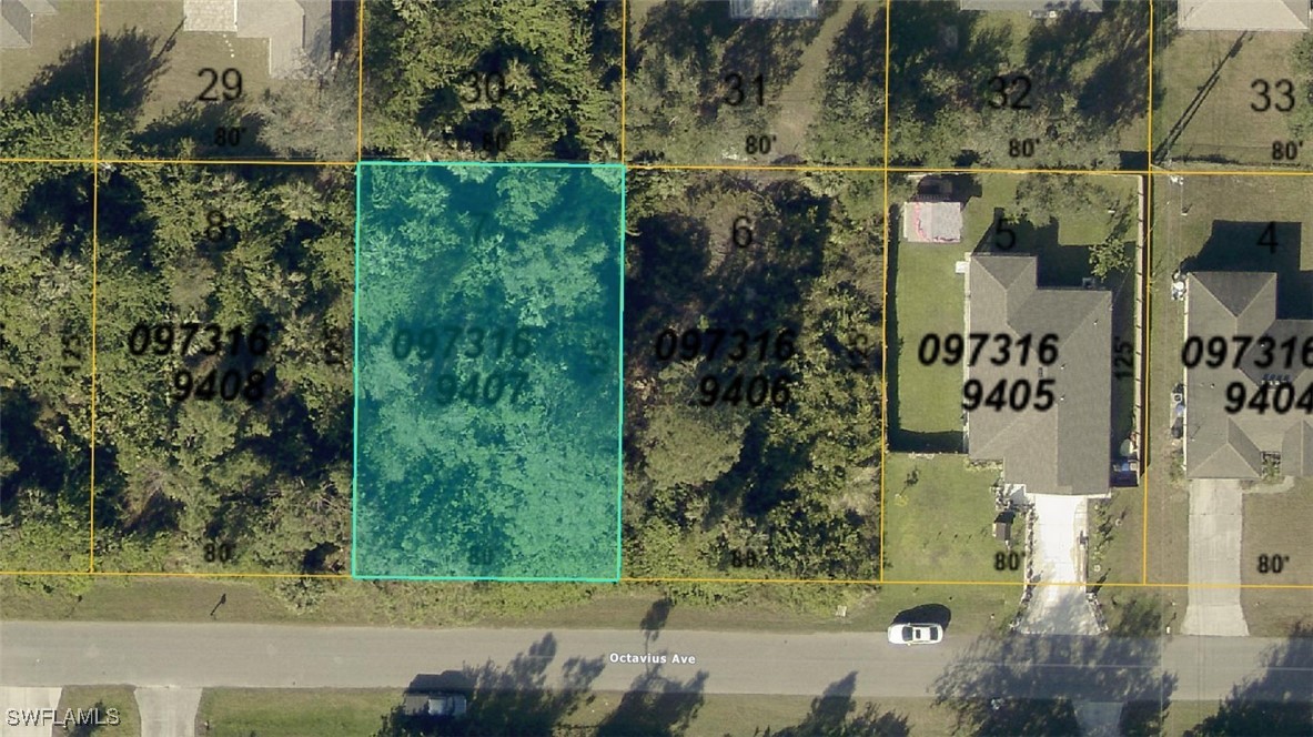 0973169407  Octavius Avenue