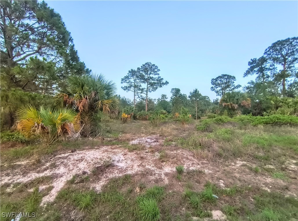 845 S Live Oak Street