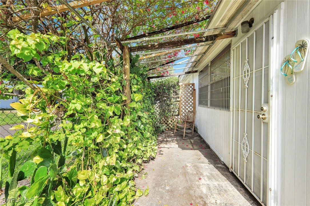 72/74  Cypress Street