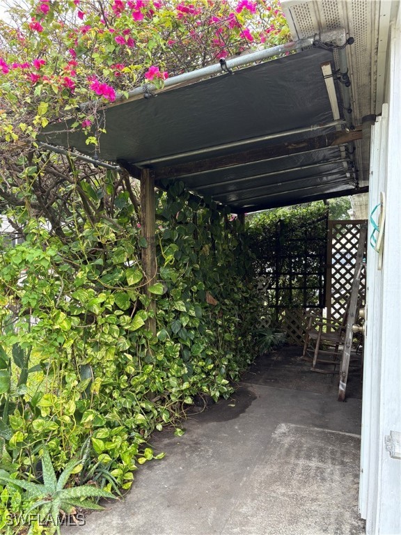 72/74  Cypress Street