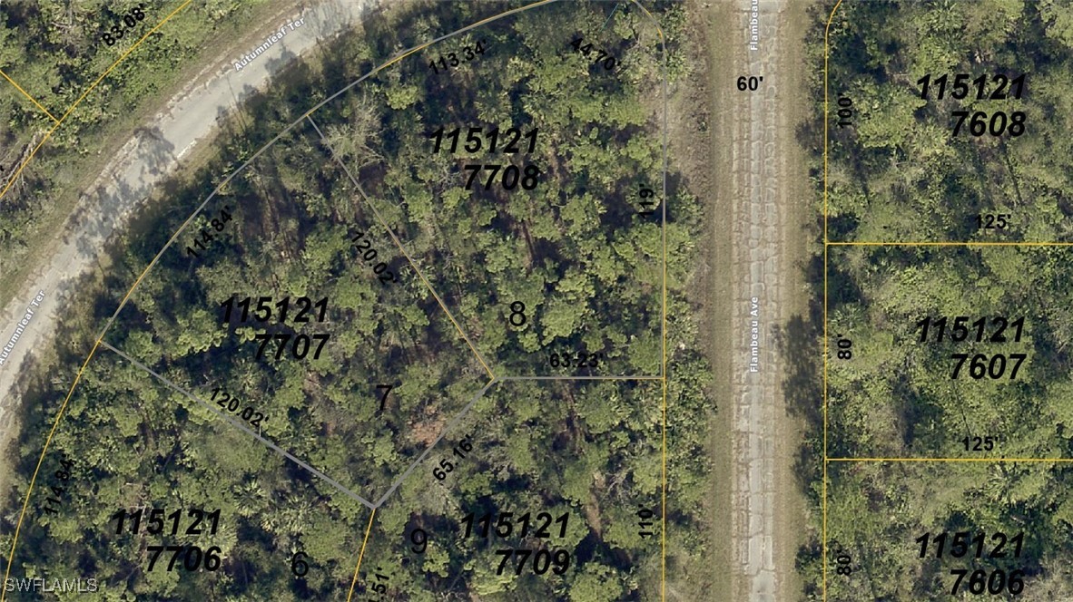1151217707 & 115  Autumnleaf Terrace