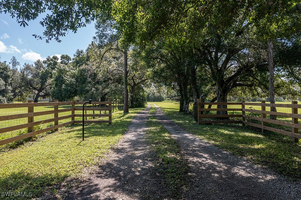 Real Estate in Southwest Florida