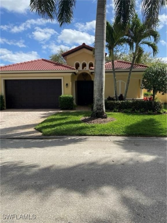 11491  Axis Deer Lane