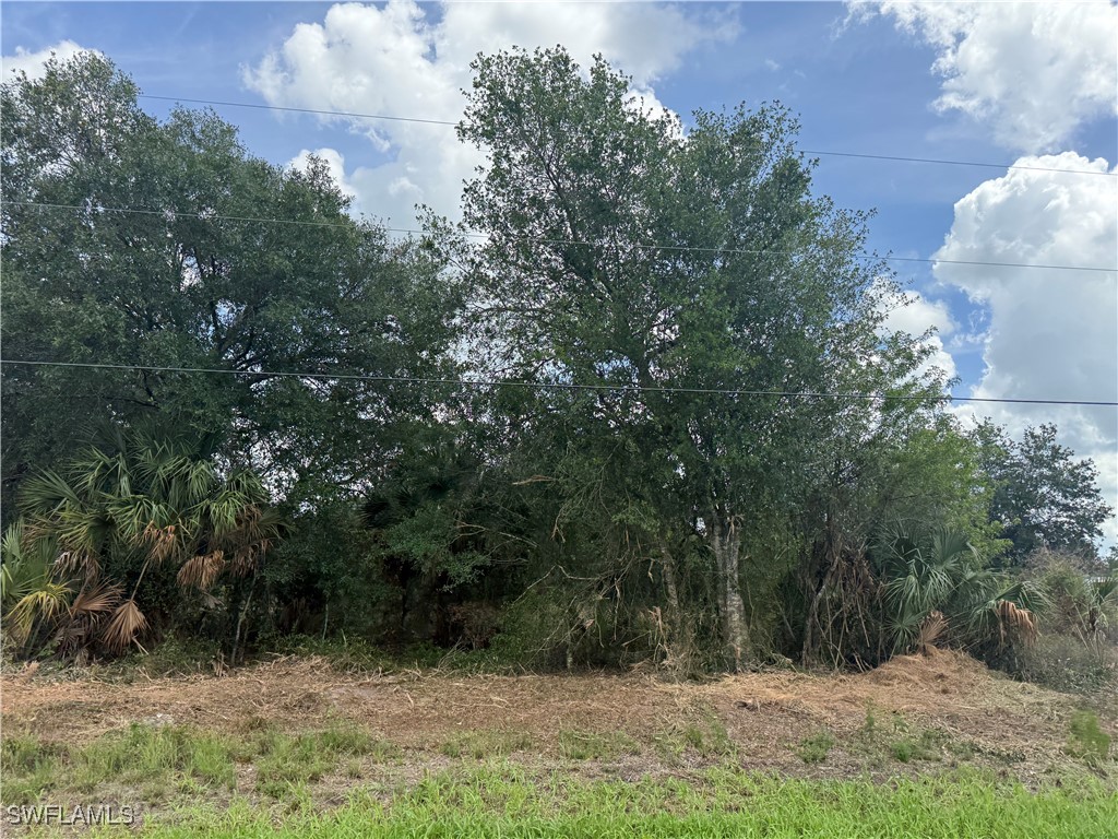 203  BALD CYPRESS Avenue