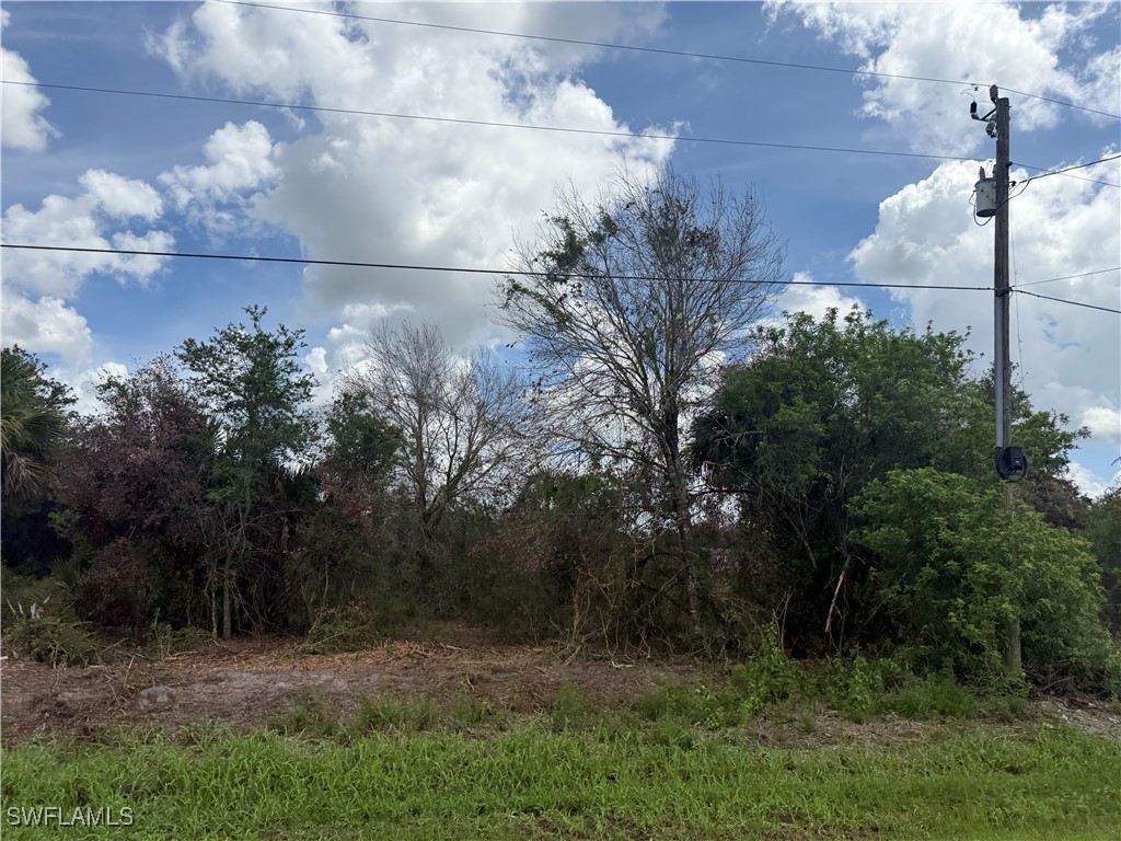 209  Bald Cypress Avenue