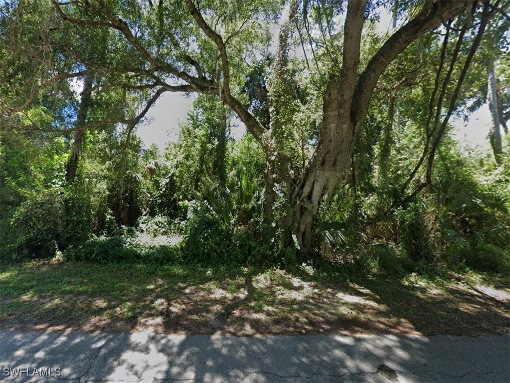 3031  Mockingbird Lane