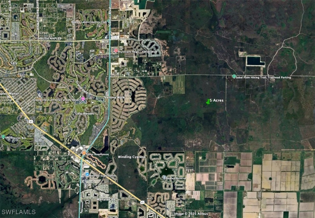   Sabal Palm Road