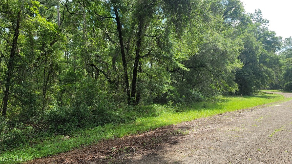 373  E Avondale Drive