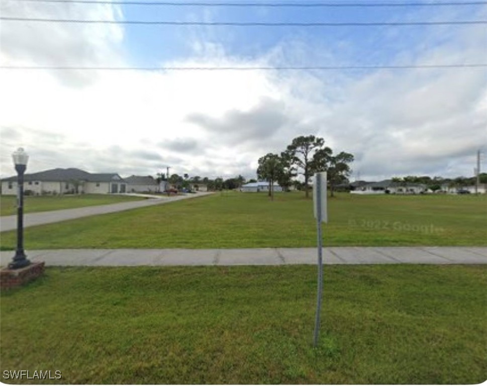 800  Royal Poinciana